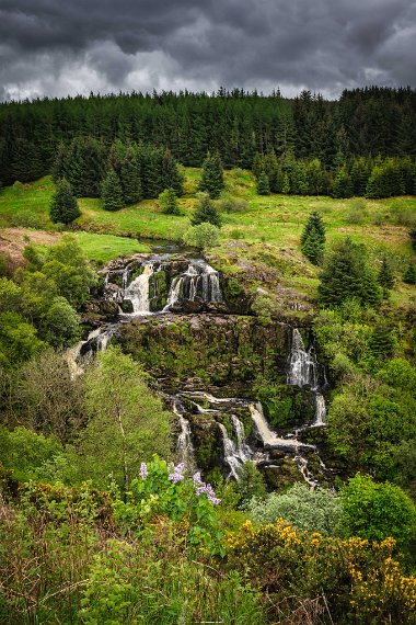 037 Loup of Fintry.jpg